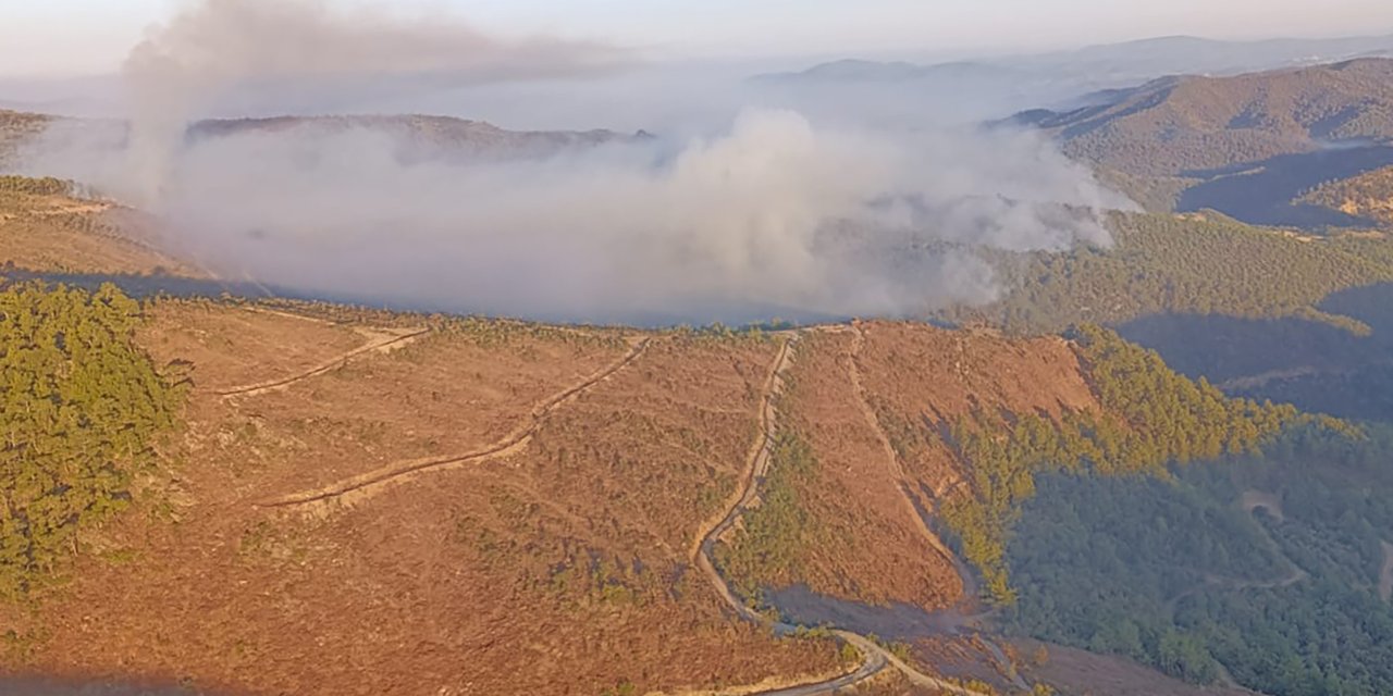 Manisa'da orman yangını 5 gündür devam ediyor!