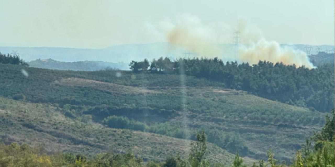 Bursa'nın Mudanya ilçesinde orman yangını çıktı