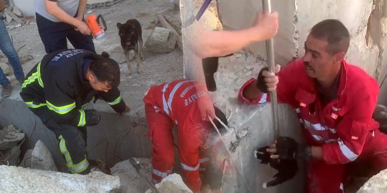 Anne köpeğin umut nöbeti! Enkazda sıkışan yavrularının başından ayrılmadı