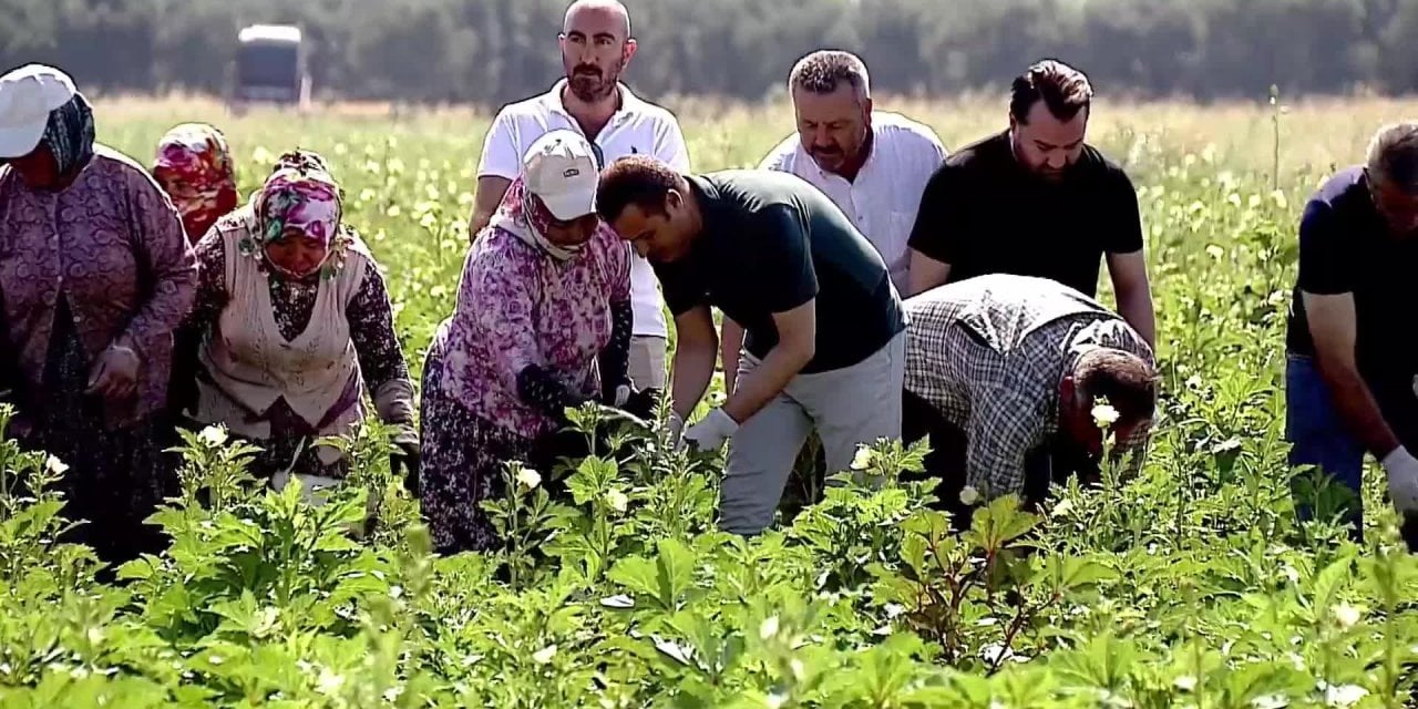 Üretimi kalkındıracak hamle Balıkesir Büyükşehir’den geldi