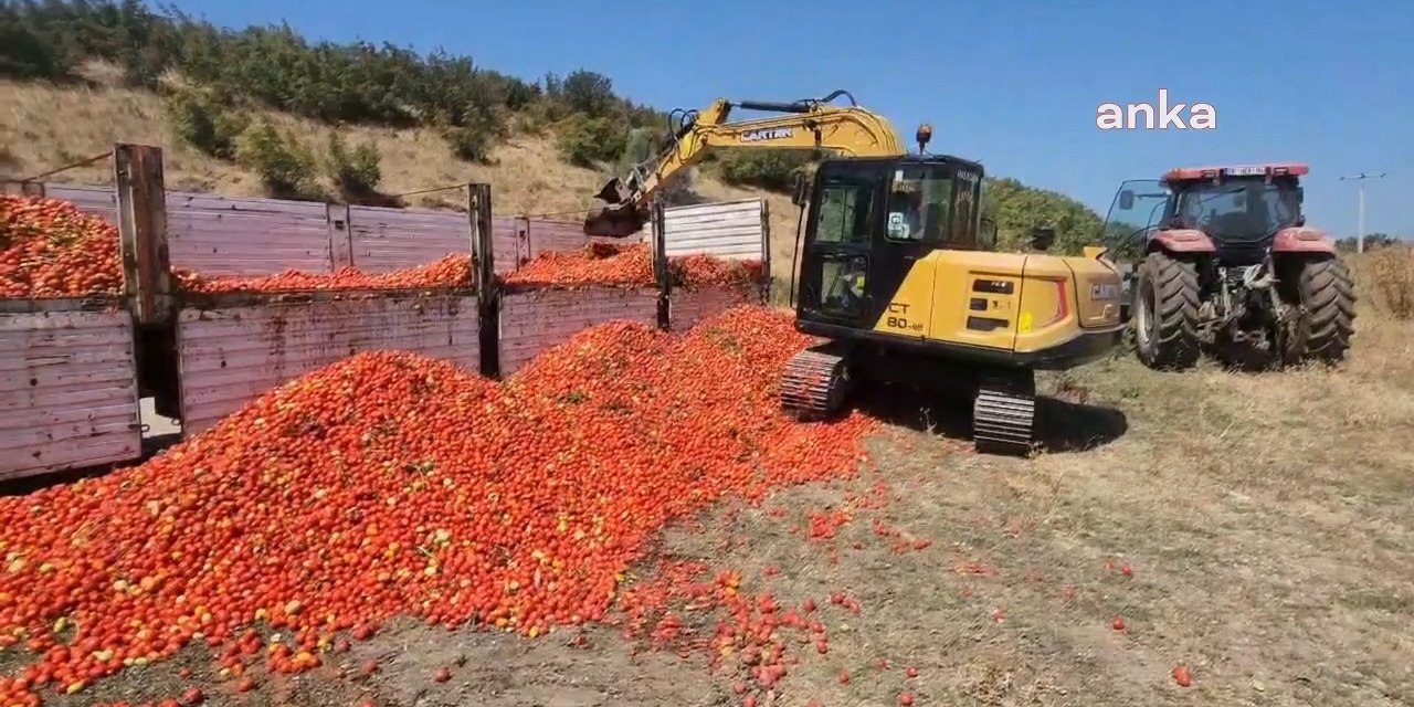 Görüntüler Bursa'dan: Çiftçi böyle isyan etti!