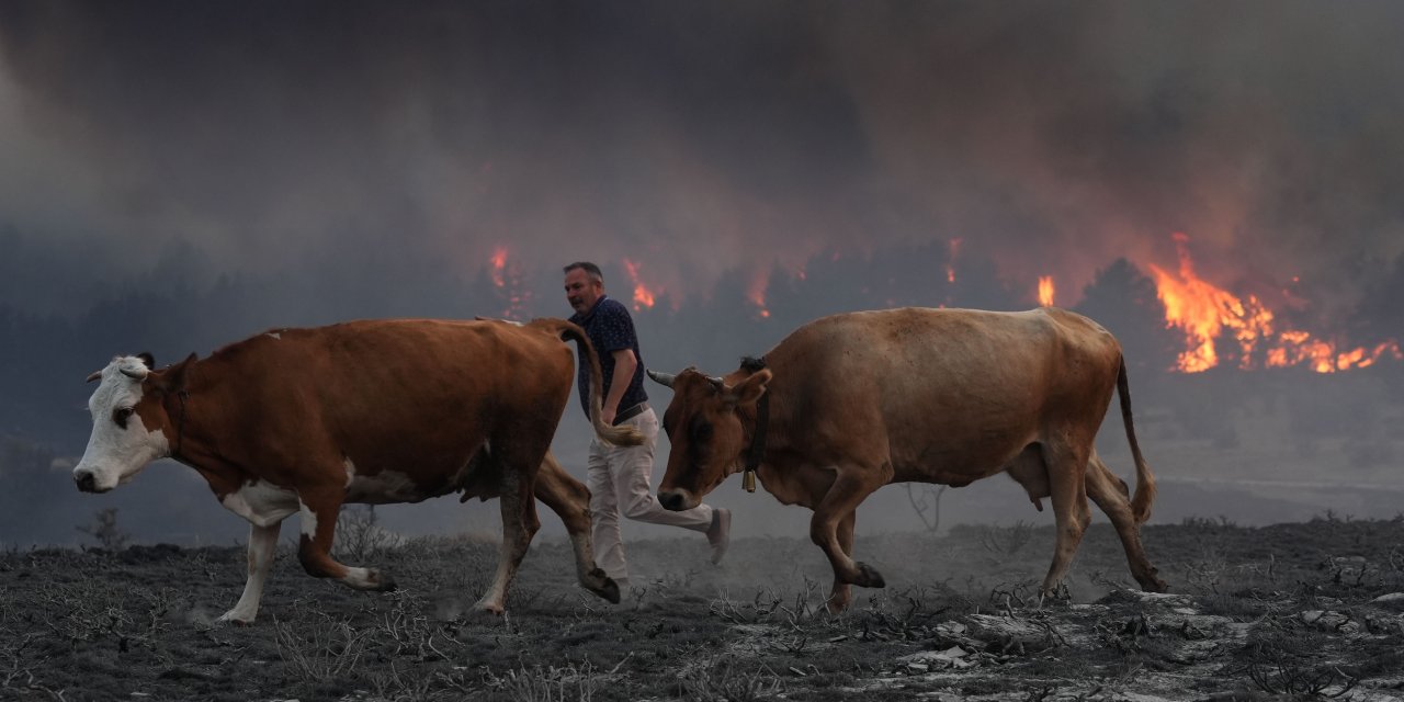 Günün Fotoğrafı: Ankara-Bolu yangınından insanlar hayvanlarıyla birlikte böyle kaçtı!