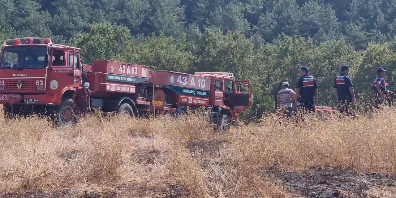 Yıldırım düşen orman alevlere teslim oldu!