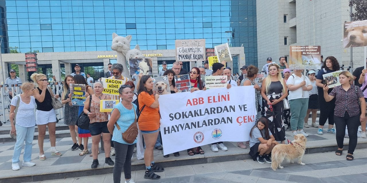 Hayvanseverlerden Ankara Büyükşehir Belediyesine tepki!