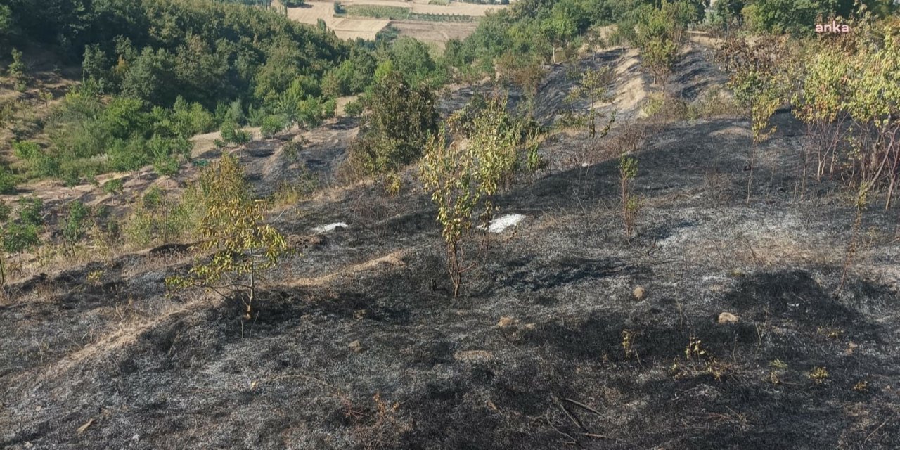 Amasya'da yangın 10 dönüm meyve bahçesini tahrip etti