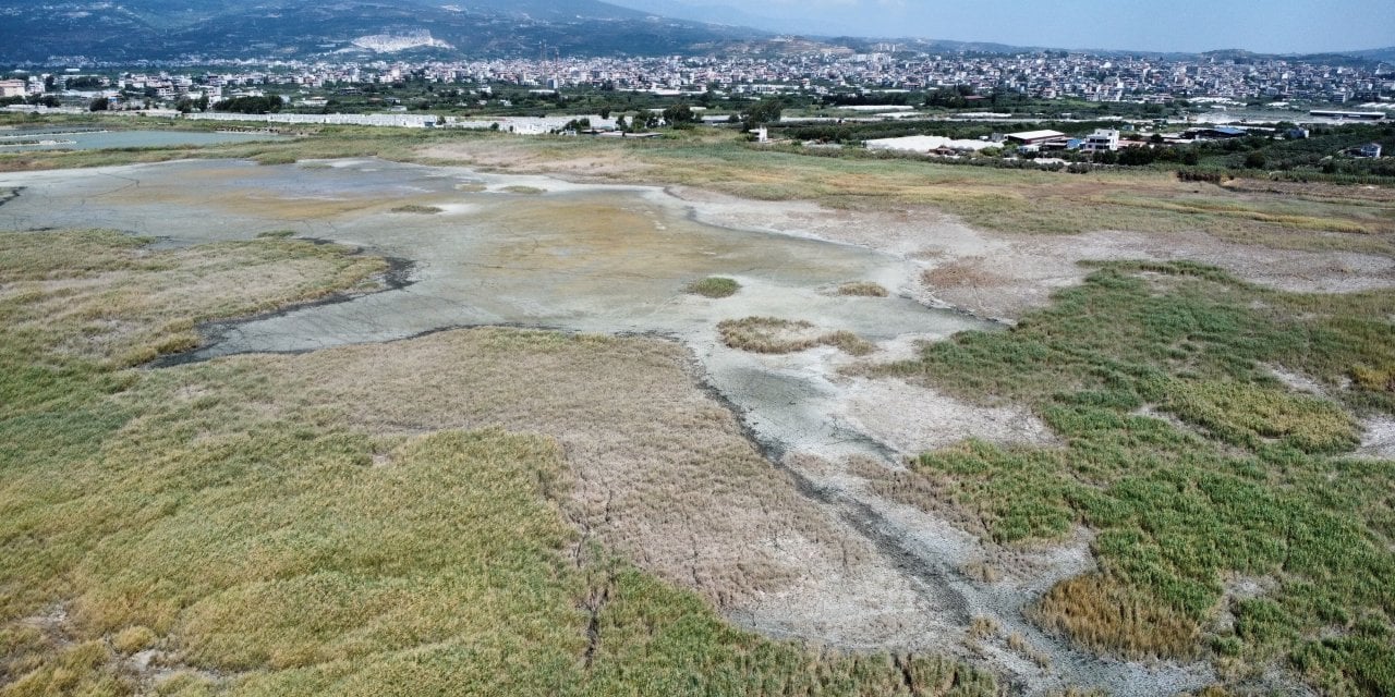 Milleyha Kuş Cenneti'nde yine çöp yığınları yükseliyor