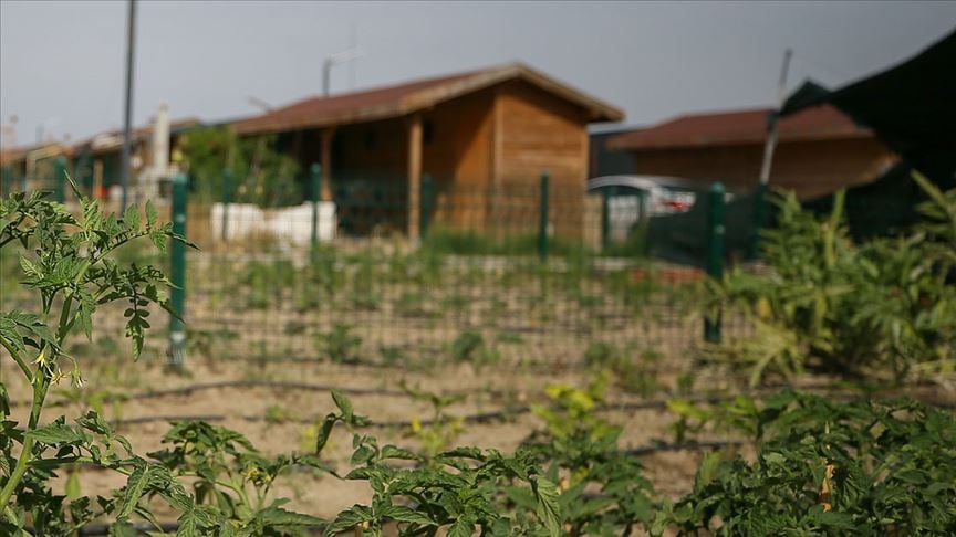 Belediye başkanı uyardı: "Almayın, zararlı çıkmayın"