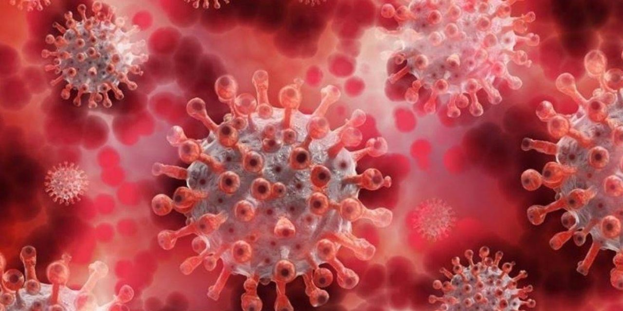 M çiçeği salgını büyüyor: 24 saat içinde 35 kişi öldü