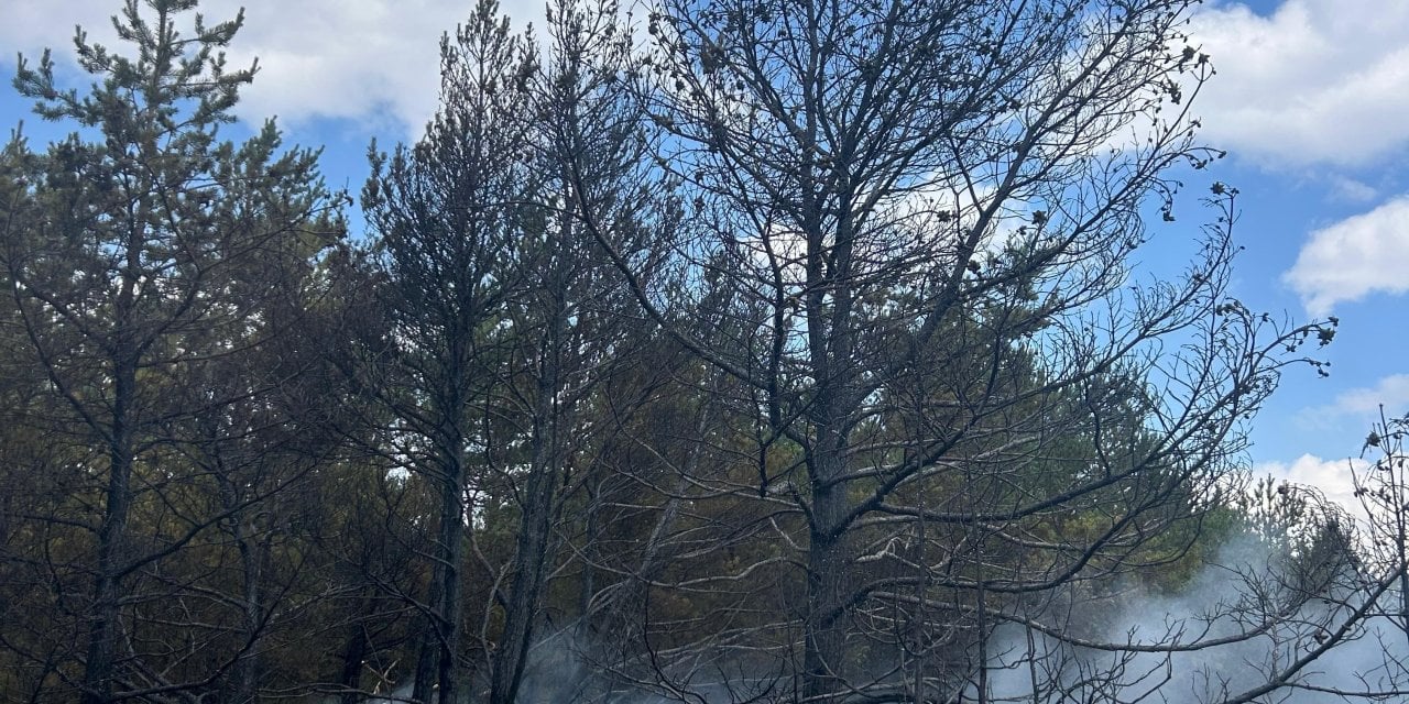 Bolu'da yangın paniği!