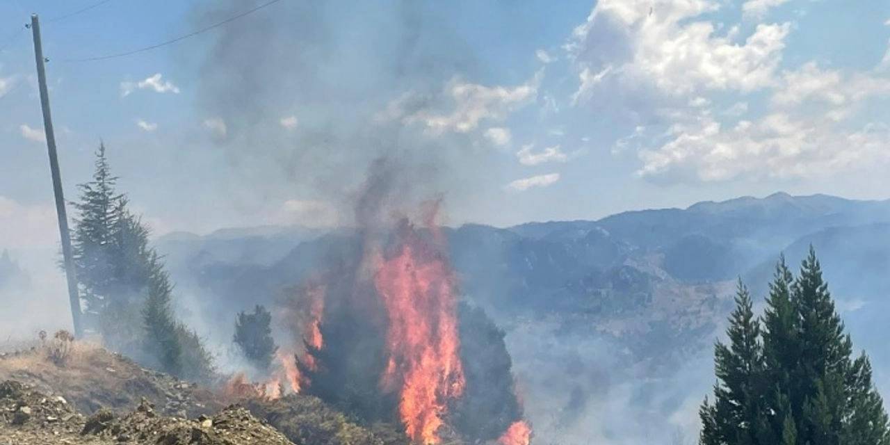 Alanya'da makilik alanda çıkan yangın söndürüldü