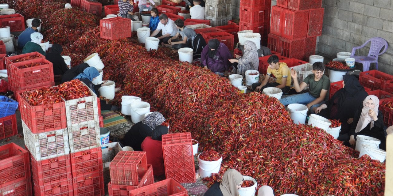 8 bin kişi kırmızı altının başına geçti