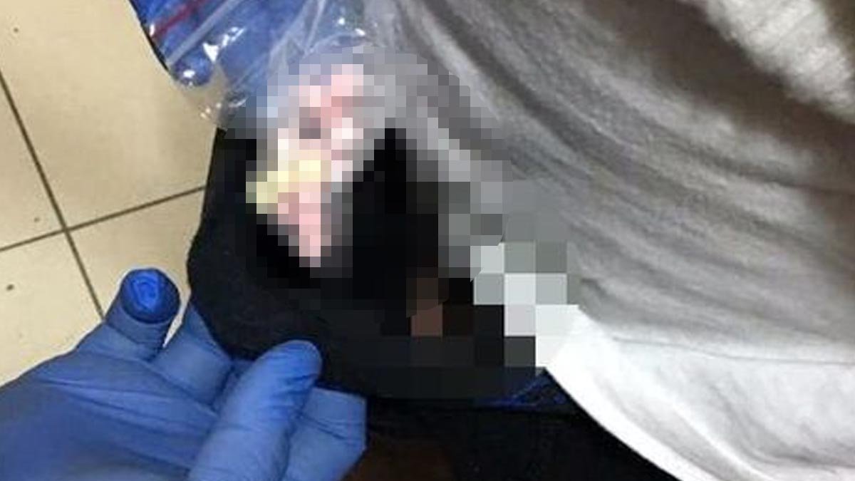 İğrenç! Sürücünün iç çamaşırından çıktı!