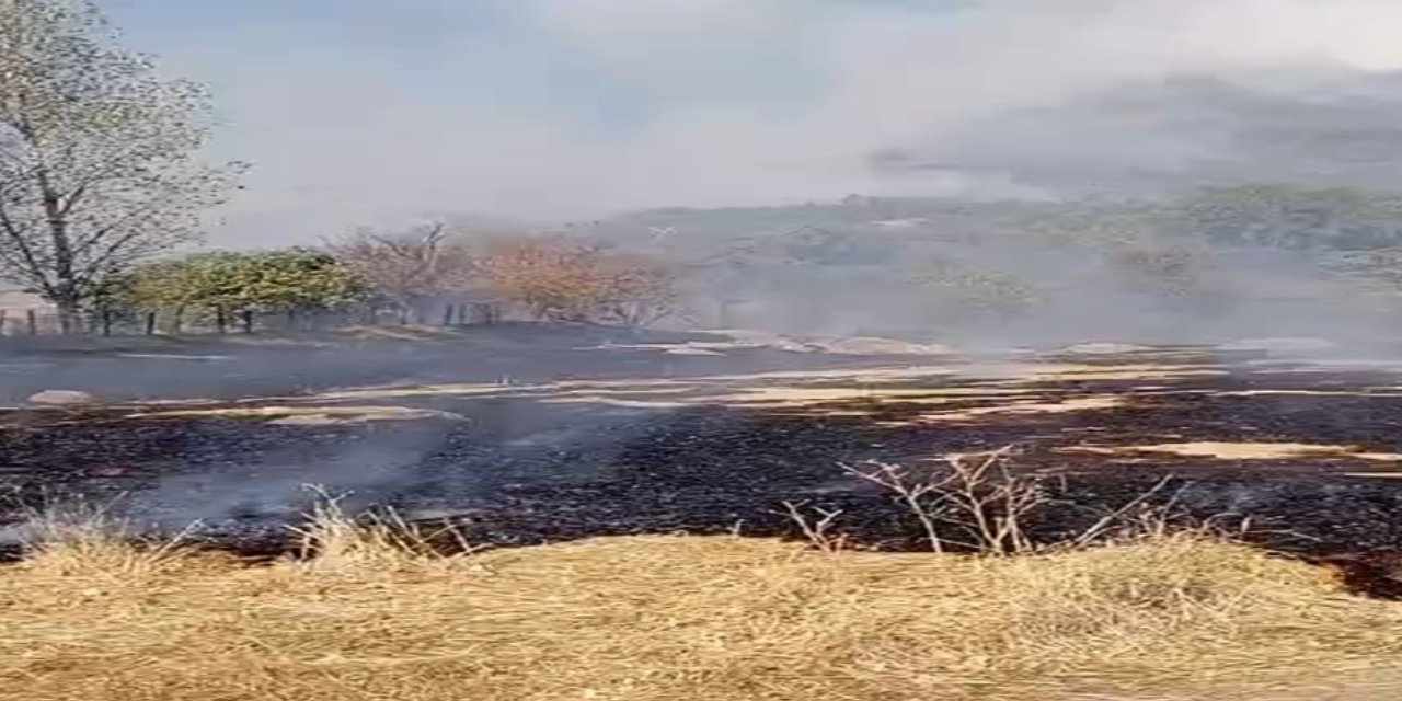 Elazığ'da örtü yangını 4 saatte söndürüldü