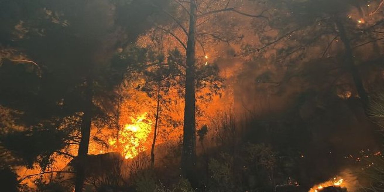 Muğla'da saatler süren orman yangını!