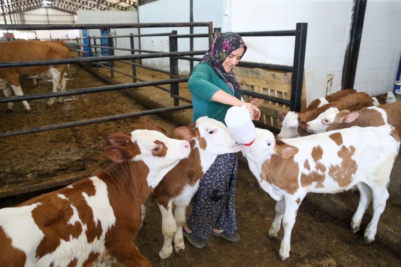 27 sene ev hanımıydı şimdi bir çiftliği var!