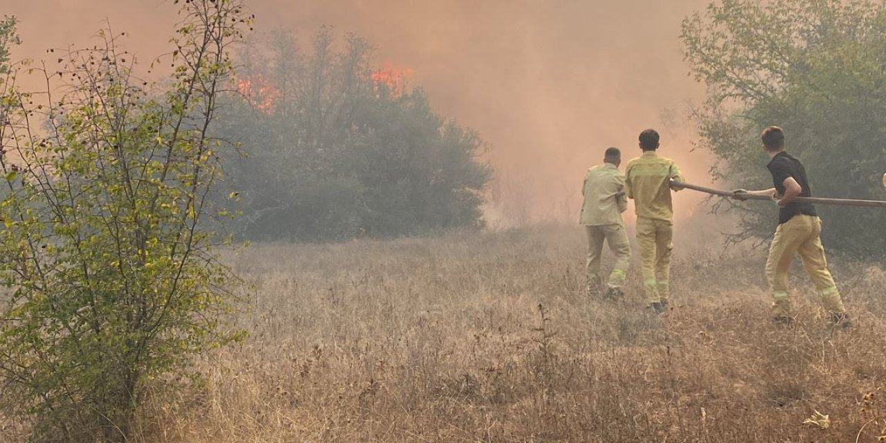 Bingöl'de ormana giriş yasağı tarihleri belli oldu