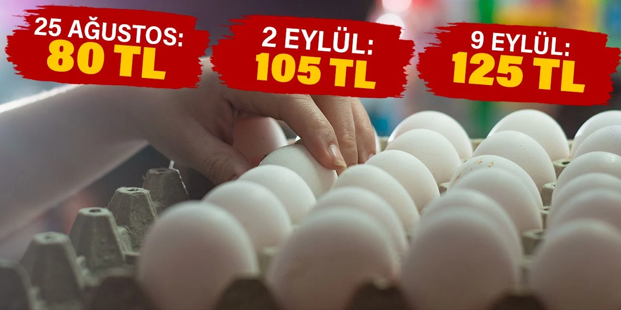 Okullar açıldı yumurtaya zam üstüne zam geldi