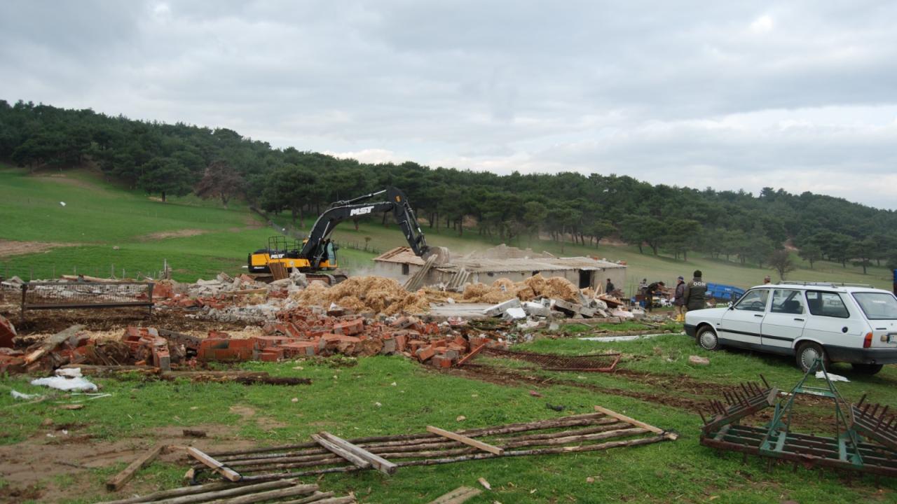 Ormanlardaki kaçak binalara ilişkin flaş karar! Resmi Gazete’de yayımlandı