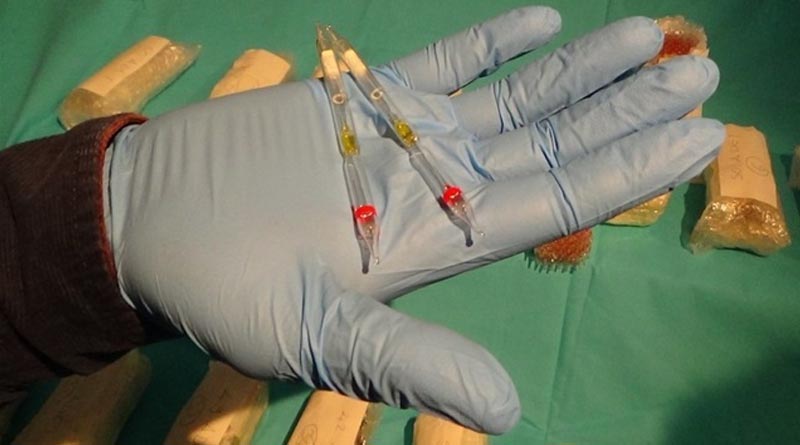 İstanbul'da 541 cam tüpte ele geçirildi! Değeri 9 milyon 750 bin lira