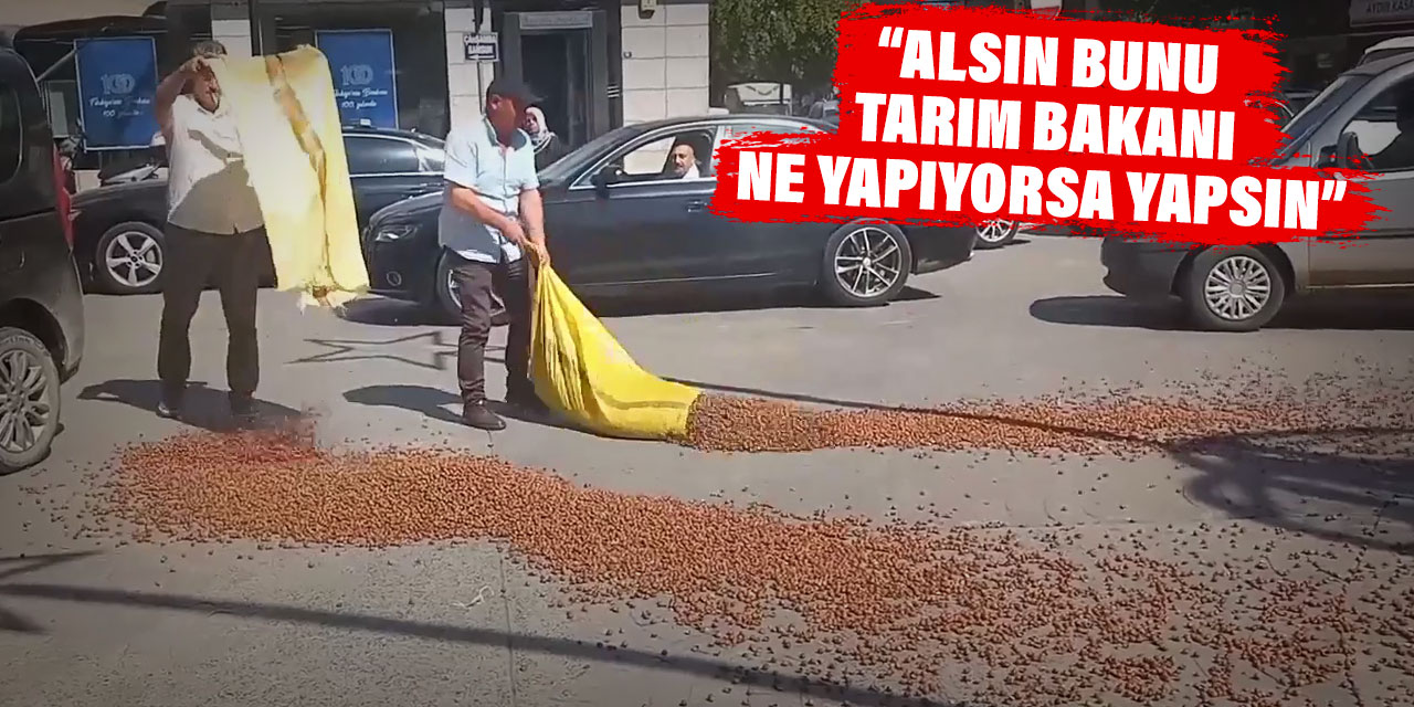 Üreticinin canına tak etti!  Çuval çuval fındıkları yola döktü