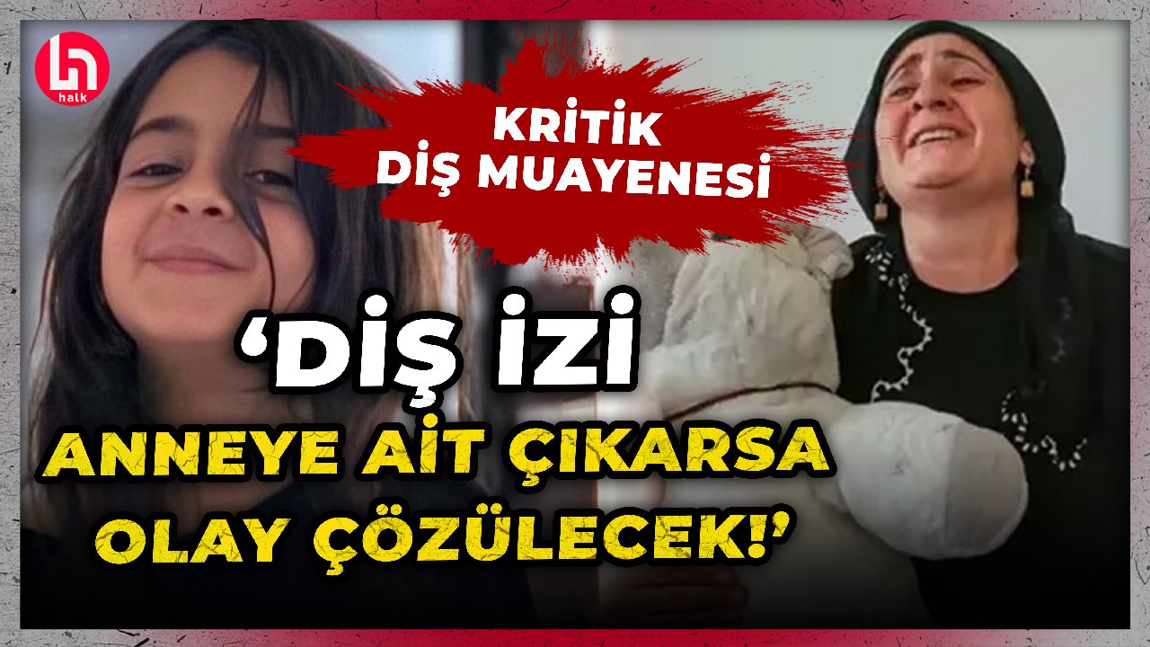 Narin cinayetinde abinin kolundaki ısırık izleri kime ait? Ferit Demir'den kritik yorum!