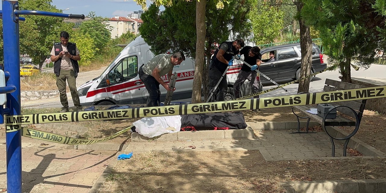 Resmen pisi pisine: Banktan düştü, kafasını çarptı, hayatını kaybetti