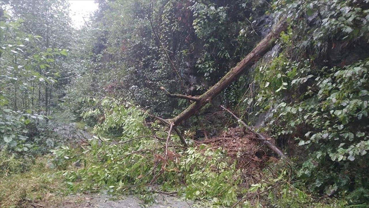 Artvin'de heyelan! Çok sayıda yol ulaşıma kapandı