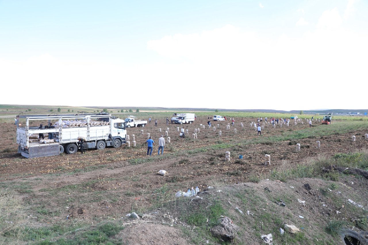 Boyutu küçük bulan tüccar ürünü tarlada bıraktı! Köylü vatandaşa ücretsiz dağıttı