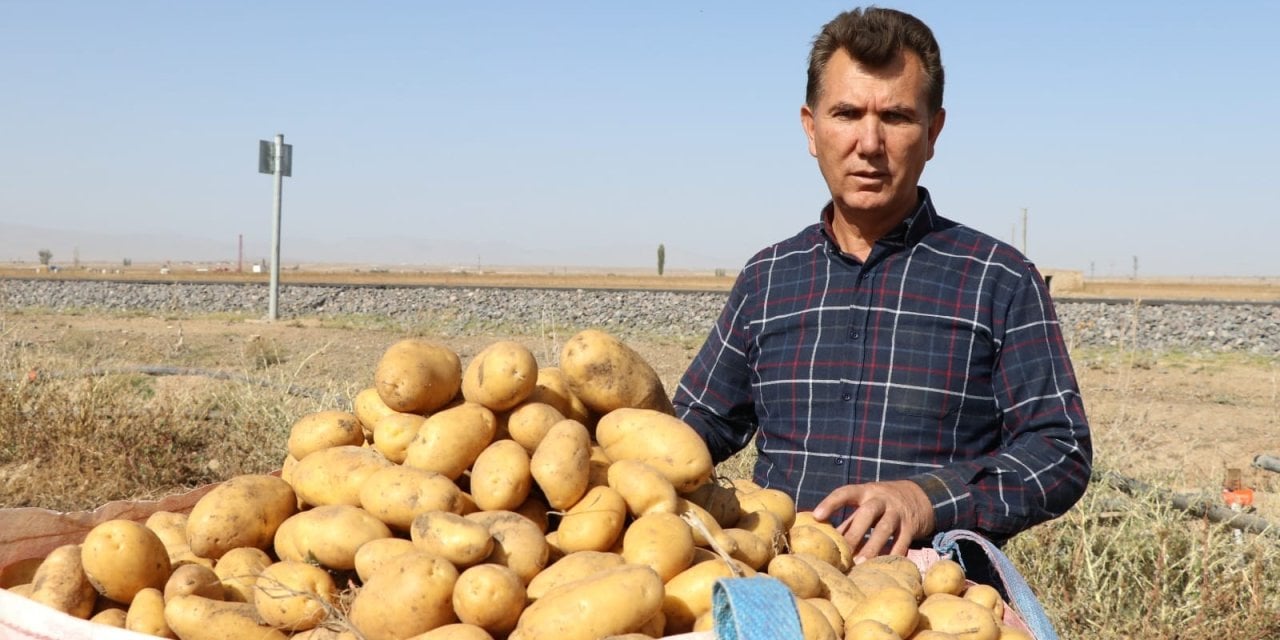 Mevsimler karıştı tarlada patates 4 liraya düştü