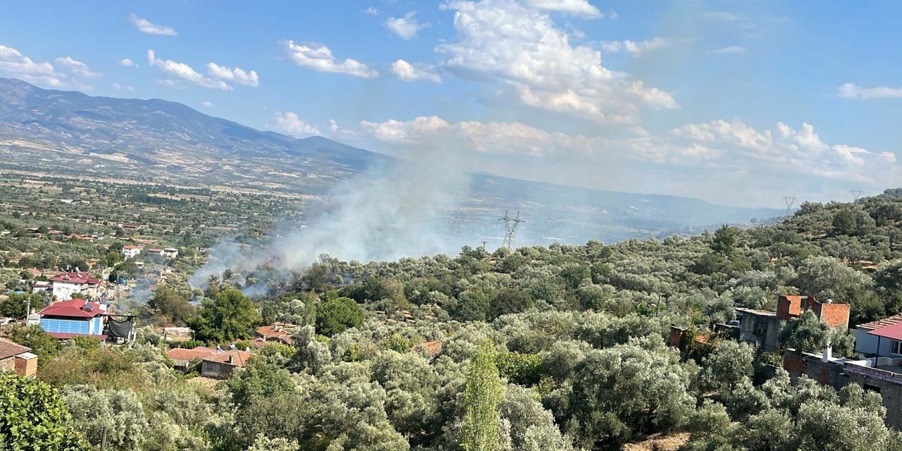 Aydın'da çıkan yangında 8 dönüm arazi kül oldu