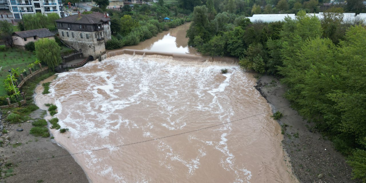 Bartın Irmağı'ndaki balık ölümlerine ilişkin inceleme başlatıldı