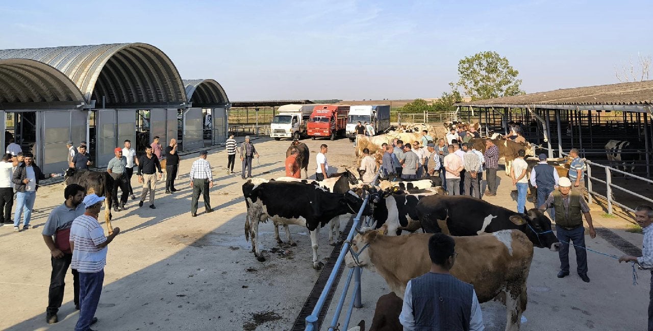 Edirne'de yasağı delene 73 bin 143 lira ceza uygulanacak! Hastalık nedeniyle kısıtlamalar getirildi