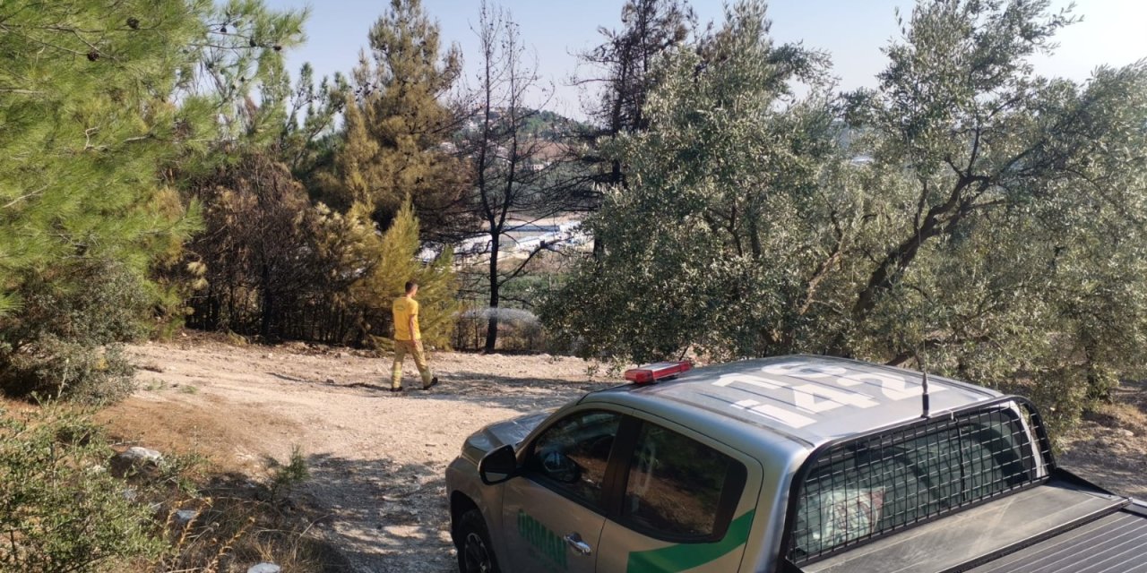 Bursa'da çıkan anız yangını söndürüldü