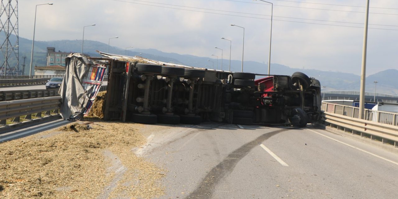 Küçücük bir arı kocaman TIR'ı devirdi