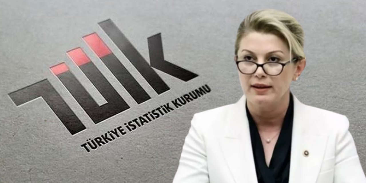 TÜİK'in 2016 yılındaki kayıp çocuklar verilerini sildiği ortaya çıktı