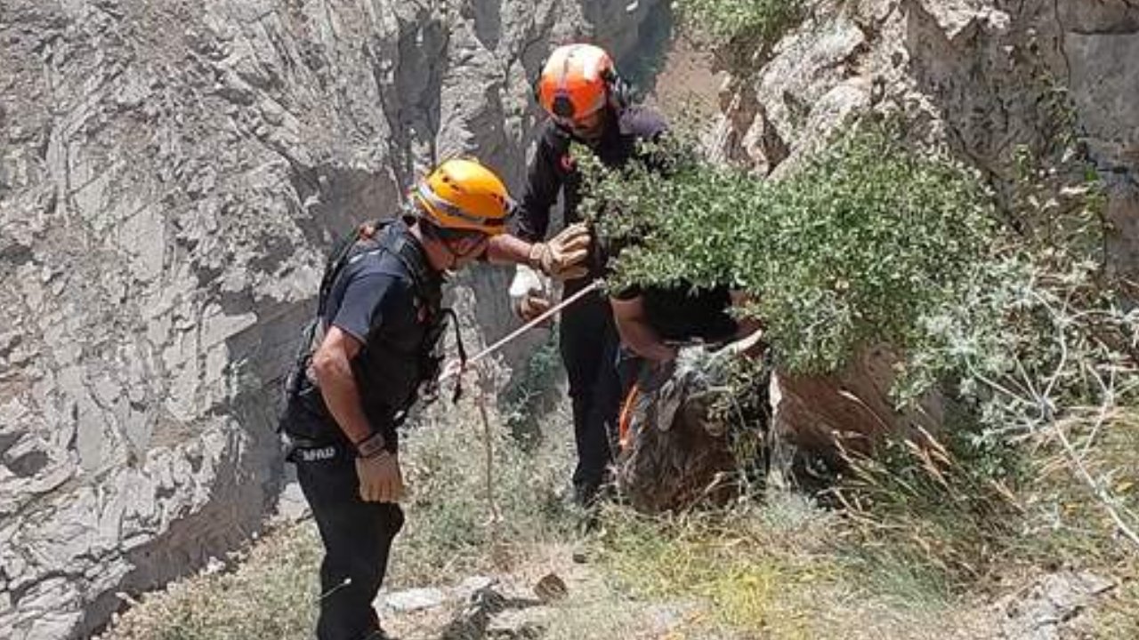 Kayalık alanda mahsur kalan keçi kurtarıldı