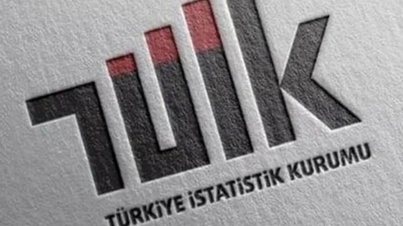 TÜİK bu istatistiği ilk kez açıkladı