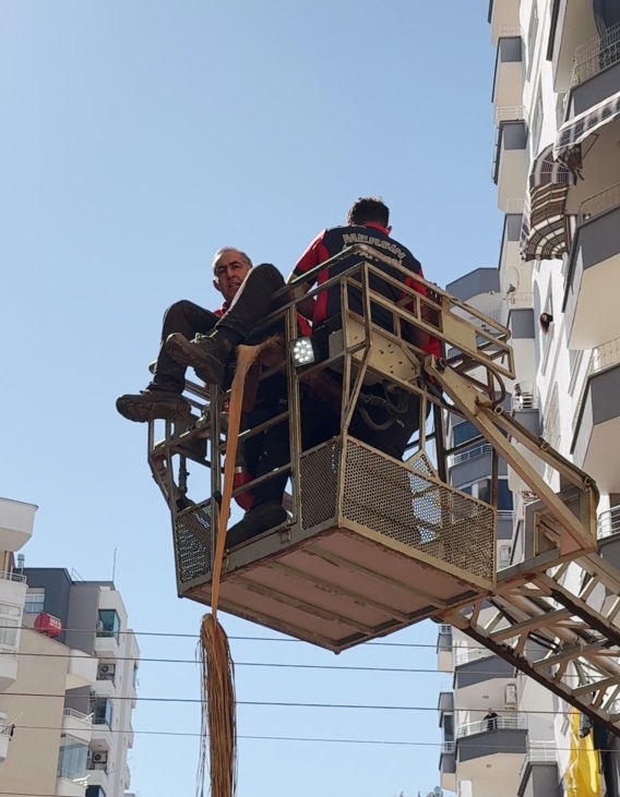 Mersin’de budama yaptığı ağaçtan düşüp öldü