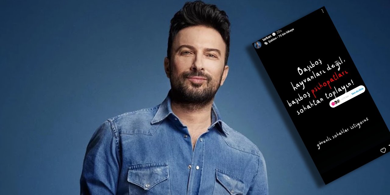 Tarkan: Başıboş psikopatları sokaktan toplayın