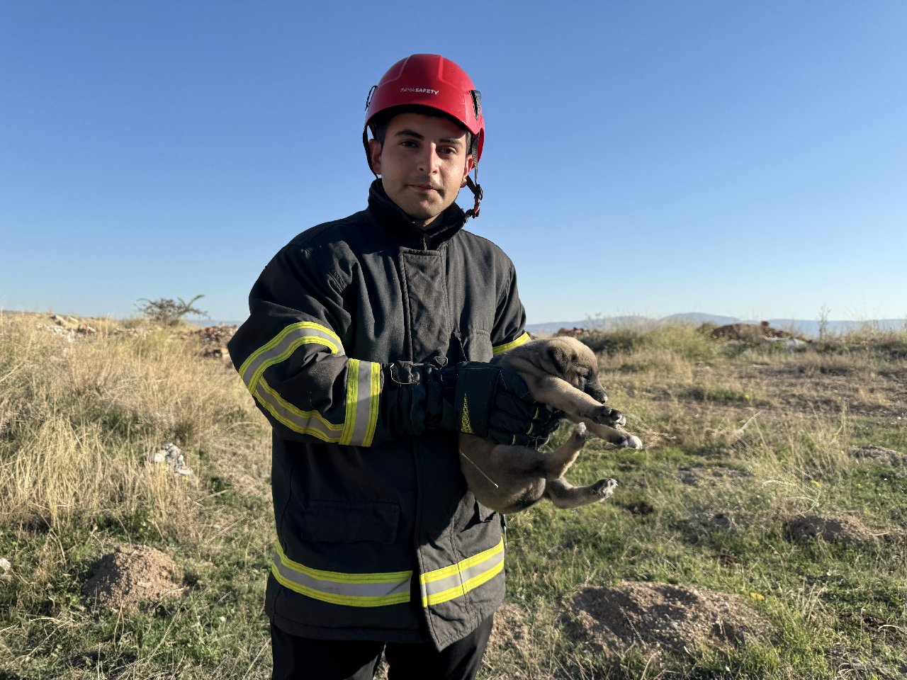 Yavru köpekler düştüğü 2 metre derinliğindeki yarıktan kurtarıldı