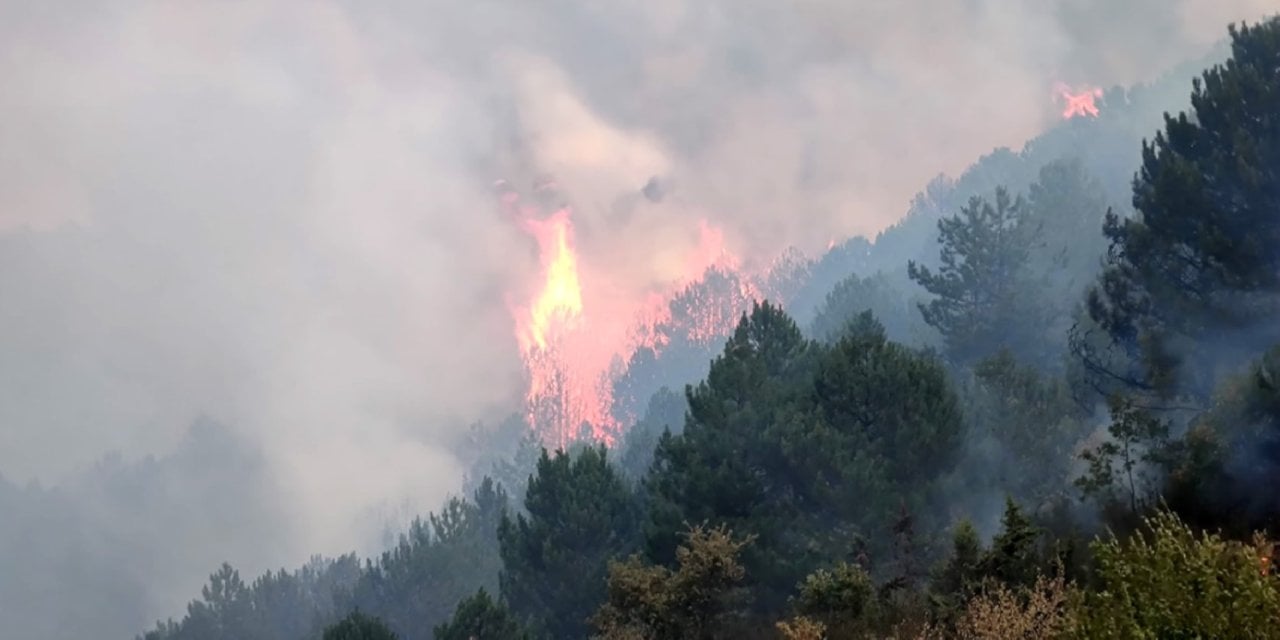 Afyonkarahisar'da orman yangını