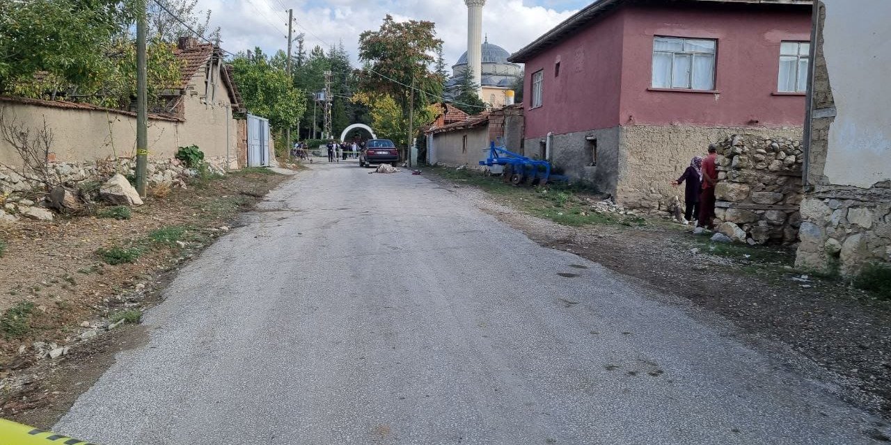 Arazi kavgasında köy muhtarı öldü kardeşi ağır yaralandı