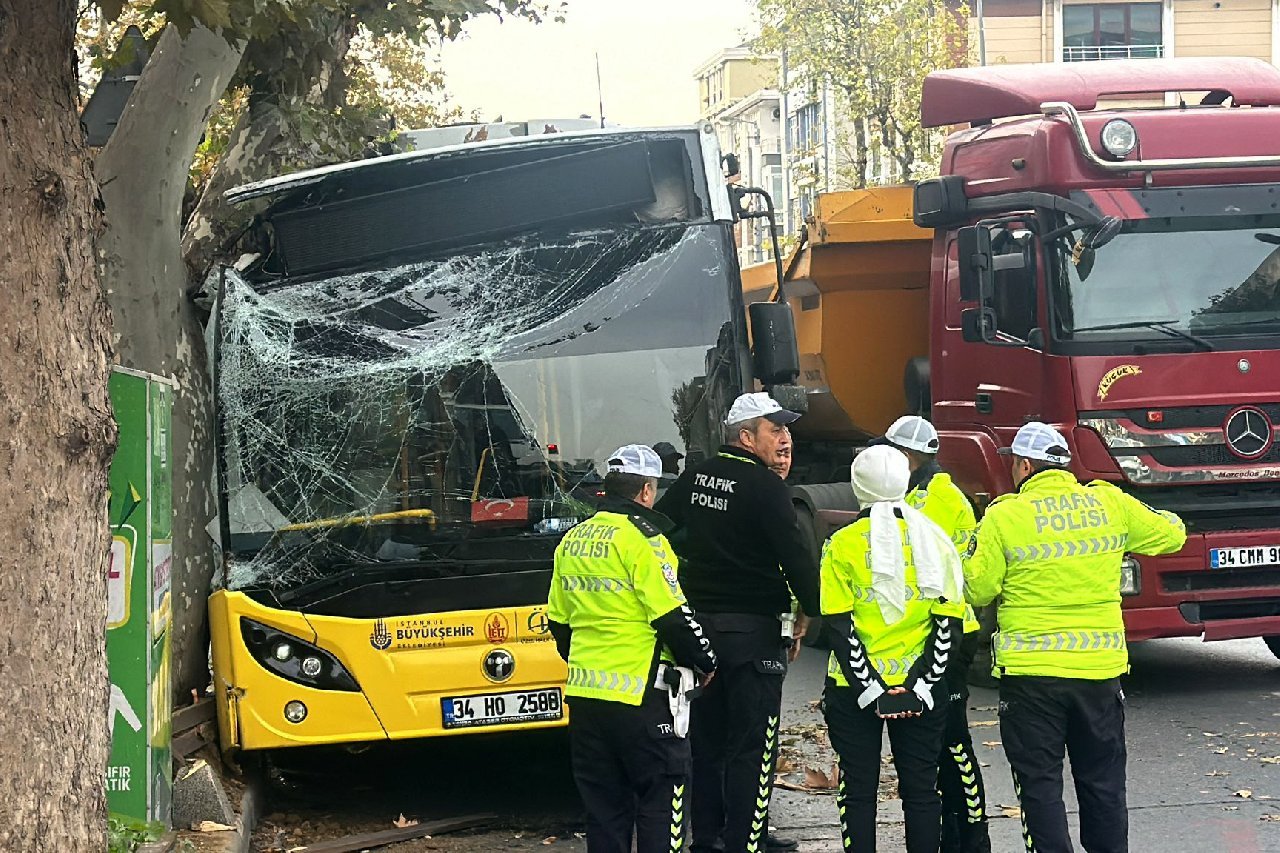 Yolcu otobüsü ağaca çarptı 7 kişi yaralandı