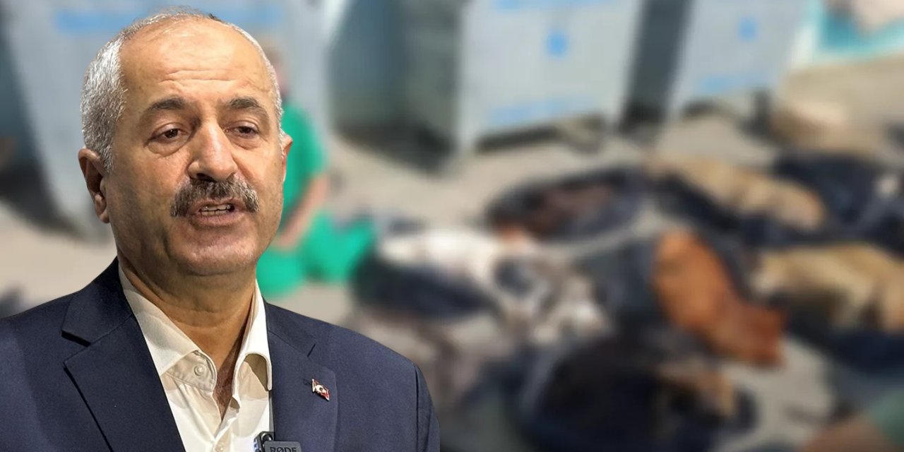 Hayvan katliamı ile anılan AKP'li Gebze Belediyesi hayvanseverleri suçladı