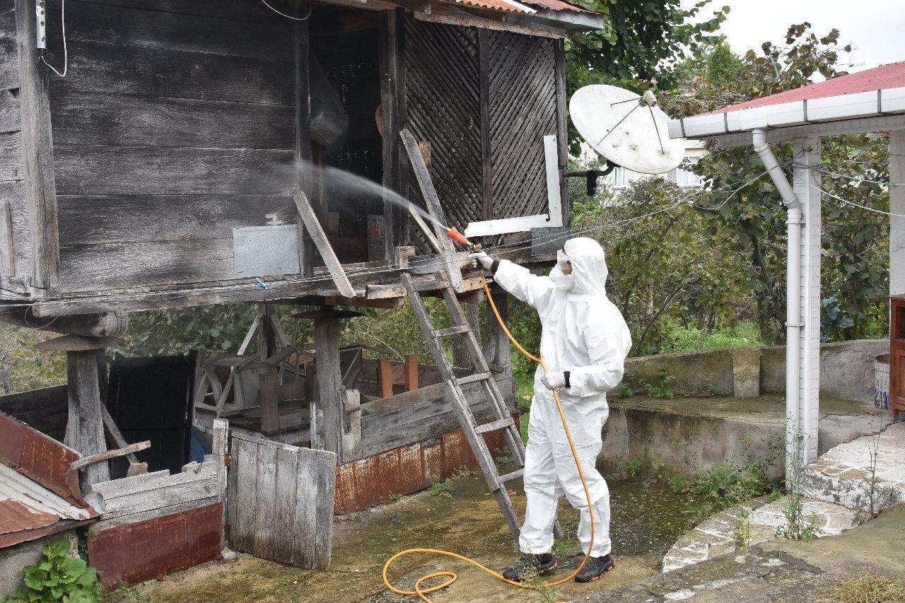 Ordu’da kahverengi kokarcaya karşı 200 bin noktada ilaçlama planı