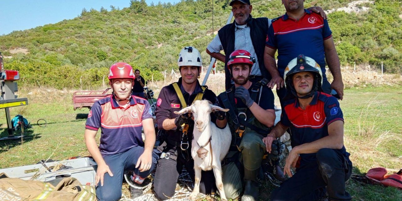 İtfaiye ekipleri gaz dolu kuyuya düşen keçiyi kurtardı