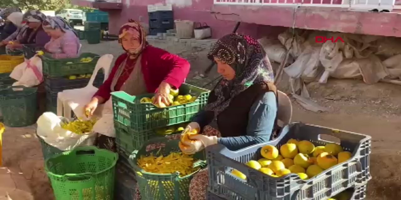 Alaşehir'de cennet elmaları askıda