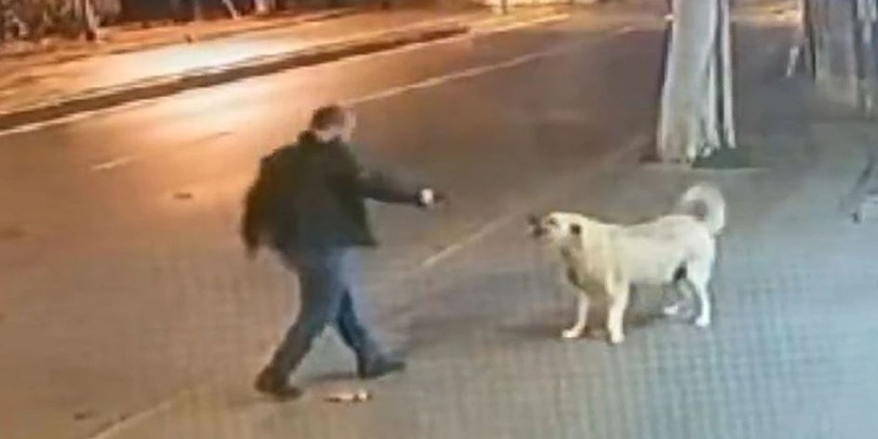 Sokak köpeğini vahşice katletmek istedi. Silah tutukluk yapınca engelli köpek ölümden döndü