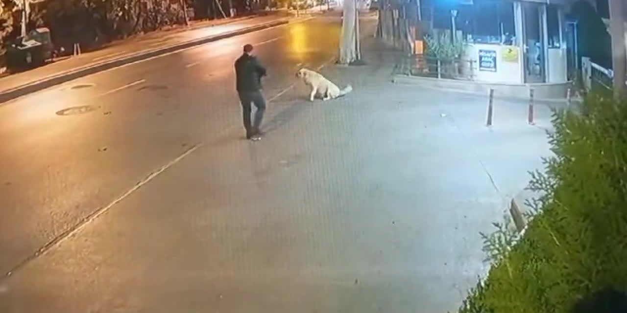 Köpeğe silah çekmişti. Dokuz ayrı suçtan kaydı çıktı