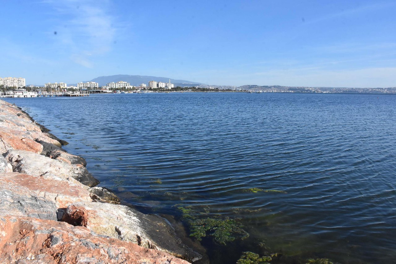 İzmir Körfez'i yeşile büründü